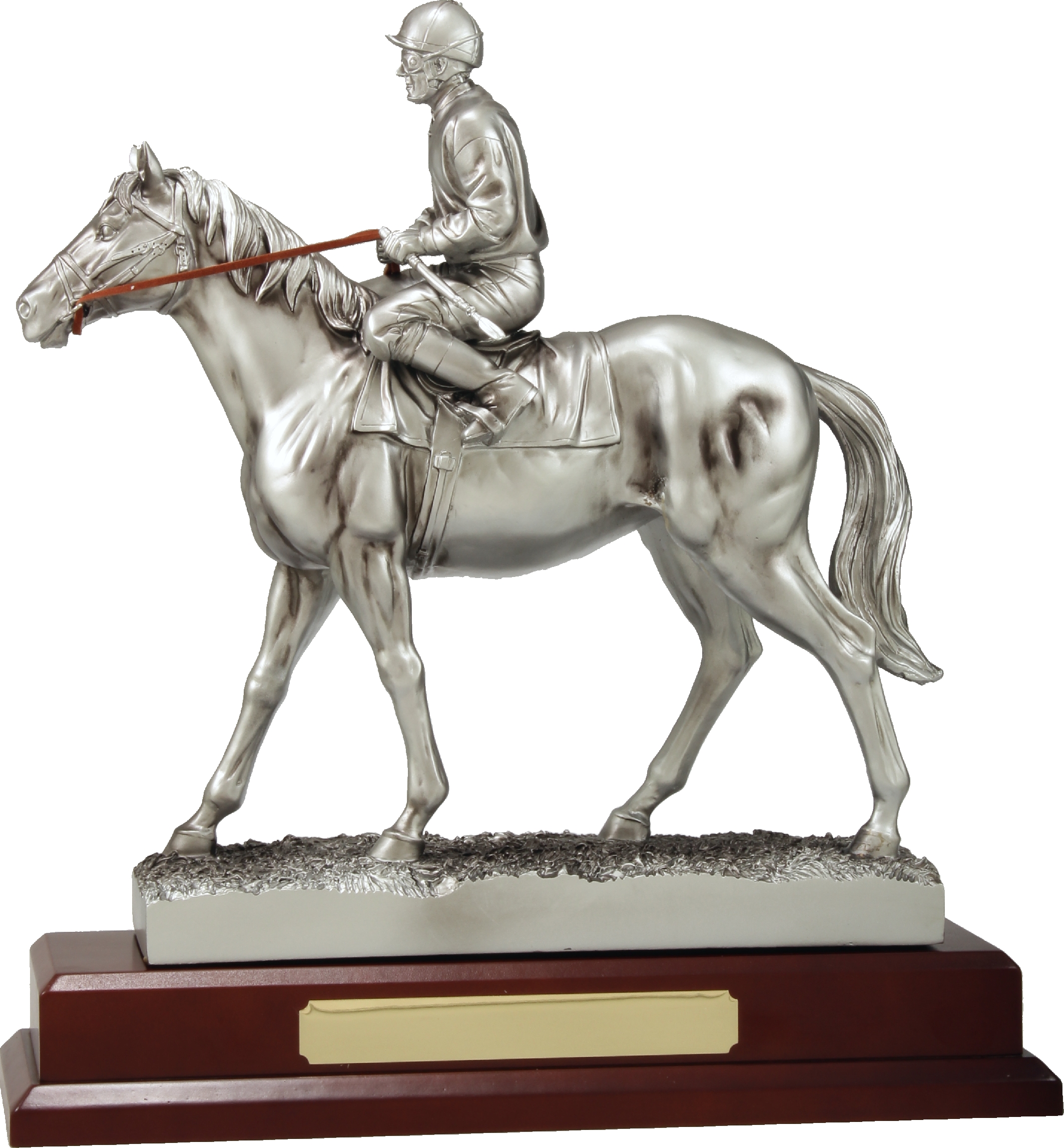 Silver Jockey Award